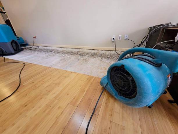 Professional Burst Pipe Water Damage technician working in West Point, KY